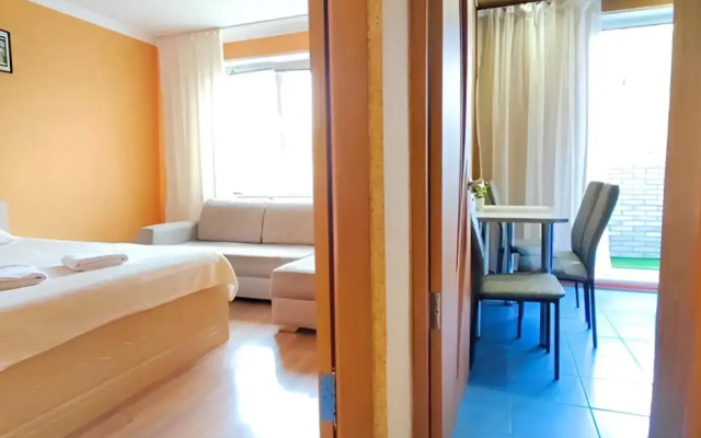 Uyutnaya Svetlaya v Tsentre Flat