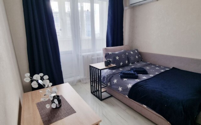 Improved two-room apartment on Akademika Yangel metro station