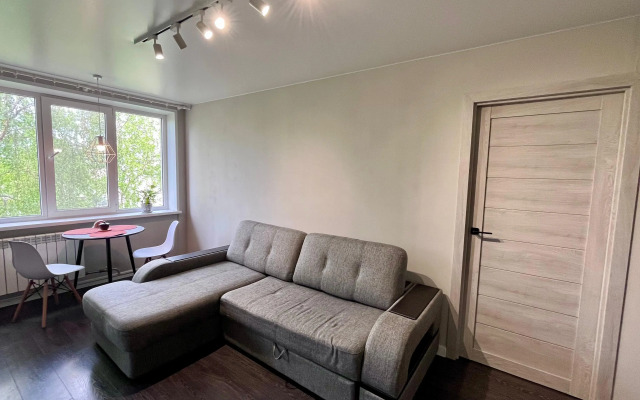 Yevrodvushka Ryadom S Tsentrom Flat