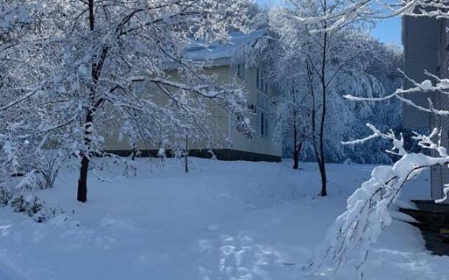 Шале Золотой родник