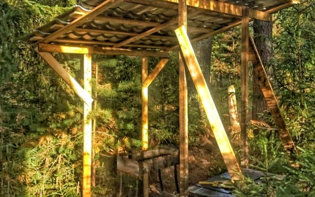 EveGreen Guest house