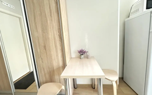 Studiya U Vitebskogo Vokzala Apartments