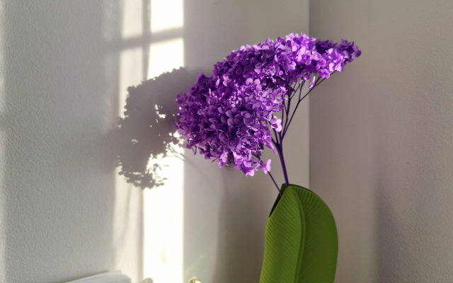 Botanika Flat