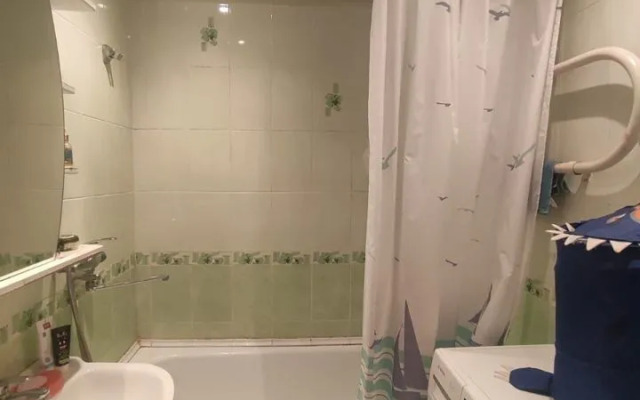 Квартира Двухкомнатная Зелёная 34