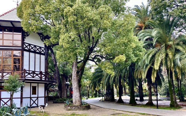 Dachalora Guest House