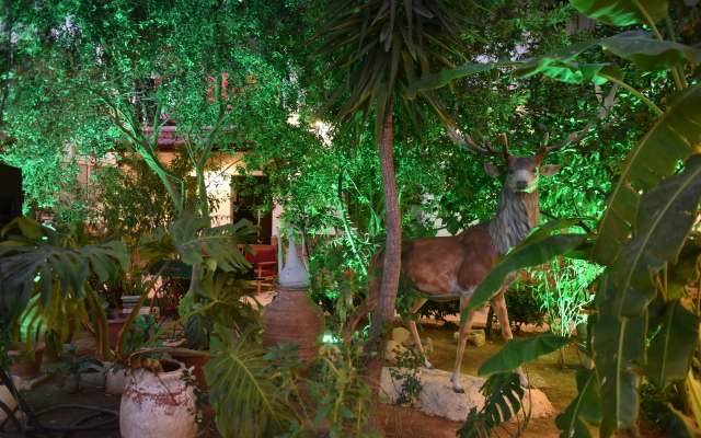 Hotel İstanköy