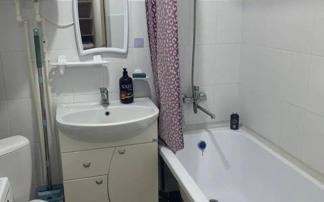 Studiya v tsentre goroda Flat