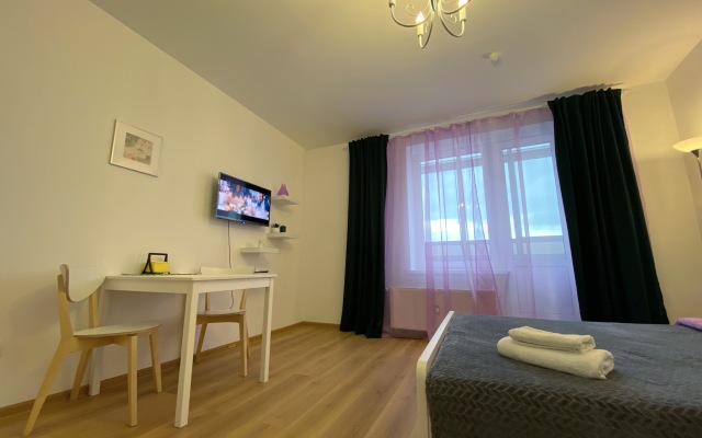 Studiya Zelenaya v Pesochnom flat