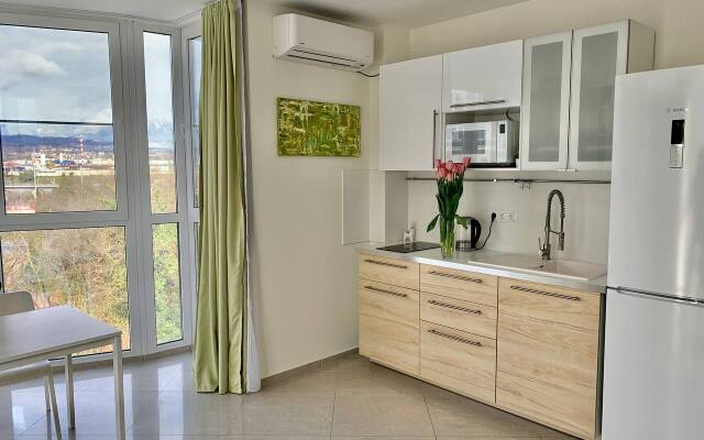 Panoramic studio Mountain view. Sunrayhome Apartments