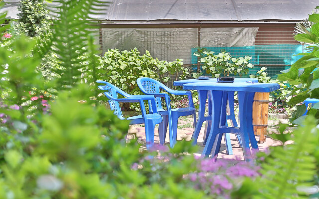 Chernomor Guest House