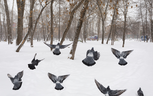 Квартира Добрая уютная квартира для семьи