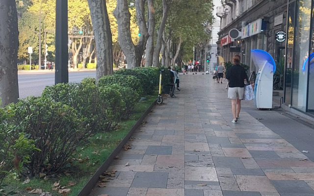 Апартаменты Kiwi