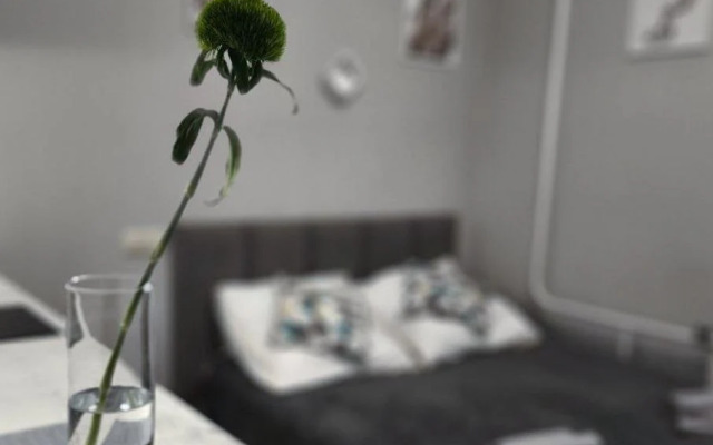 Апартаменты Уютная Студия №1