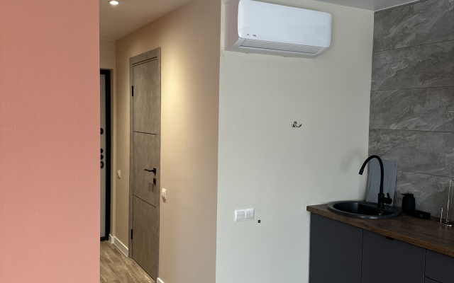 Uyutnaya Studiya U Ploschadi Pobedy Flat