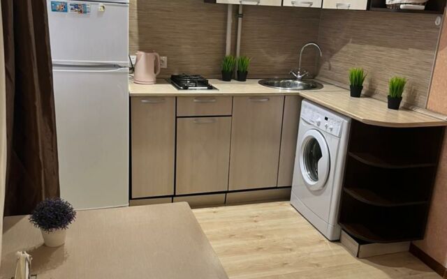 Апартаменты 1-комнатные в Центре Города на Ленина