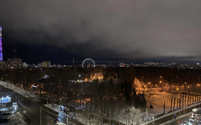 Квартира уютная с видом на парк Гагарина