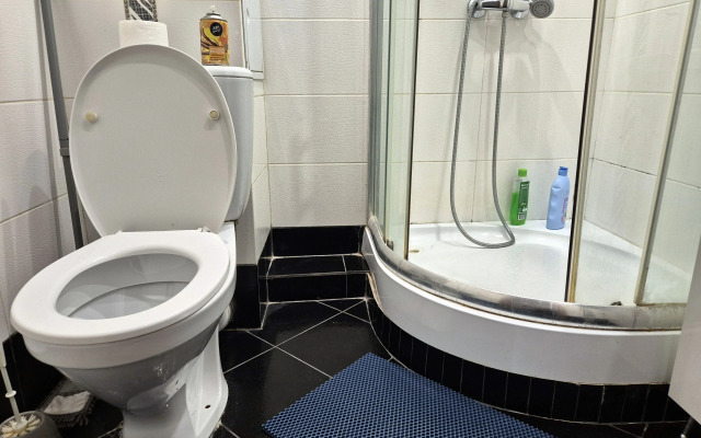 Квартира 1-комнатная с хорошим ремонтом