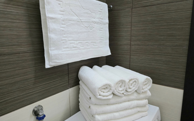 Апартаменты Чистые Пруды