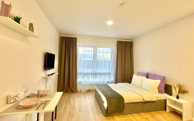 Апартаменты Истоман Студия вид на пруд