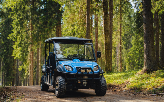 Kurortny komplex Chernye Kamni - Kottedzhi