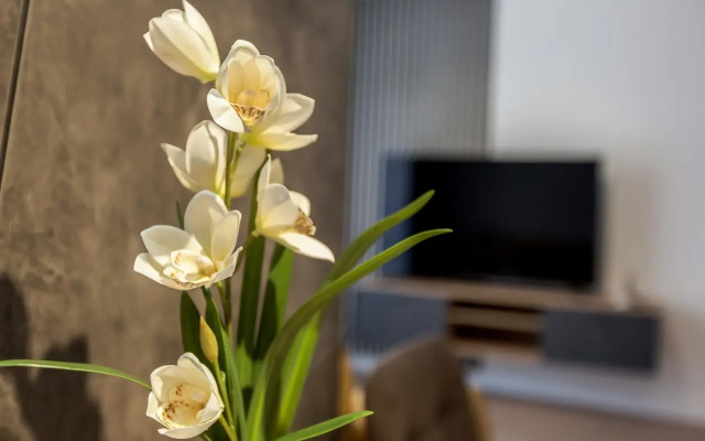 Grand Apart Velit Apartments