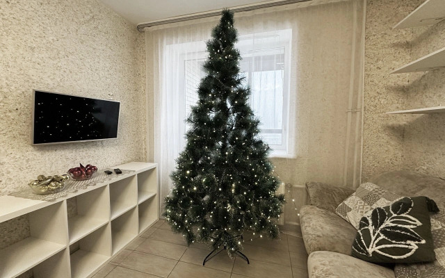 Апартаменты на Фёдора Абрамова, д.8