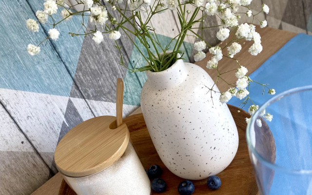 Квартира на Шишкова