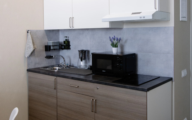 Uyutnaya I Stilnaya Studiya Apartments