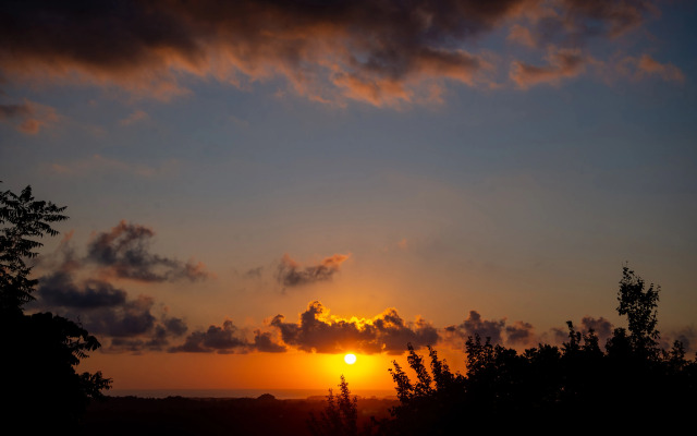 Shromantic Garden Guest house