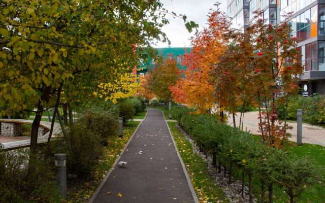 Апартаменты с Видом на Город