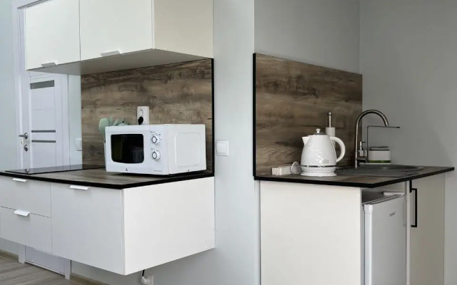 Апартаменты Душевная Студия - Мансарда в Центре Ломоносова