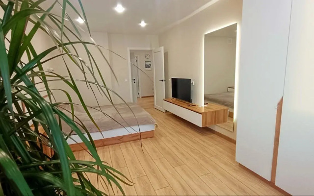 Uyutnaya Studiya V Tsentre Goroda Flat