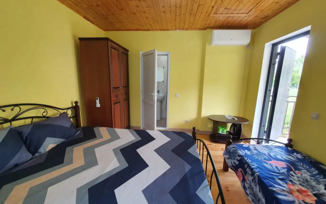 Abaza Guest House