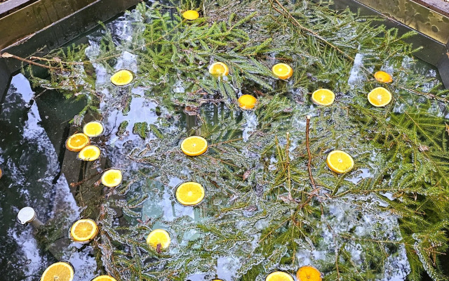 Частный дом большой