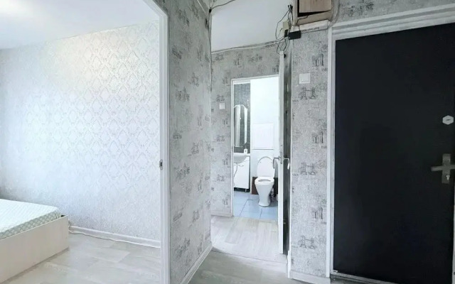 Апартаменты Большие Семейные у метро Аэропорт