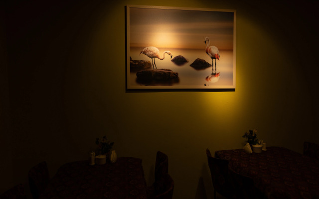Hotel Flamingo Baku