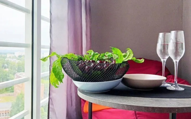 Studiya V Zhk Pioner C Panoramnym Vidom Flat