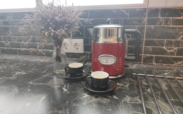 Апартаменты Black White в Светлогорске