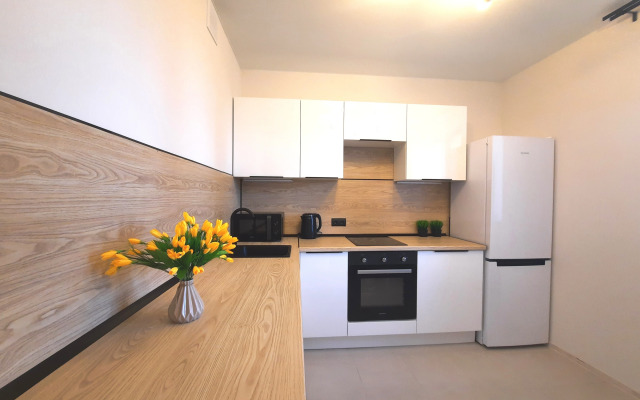 Loft Studio Na Sosnovoy Flat