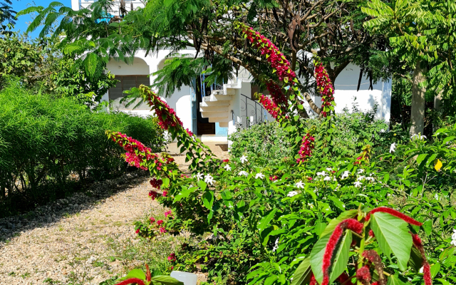 Frangipani House Zanzibar Nungwi Villa