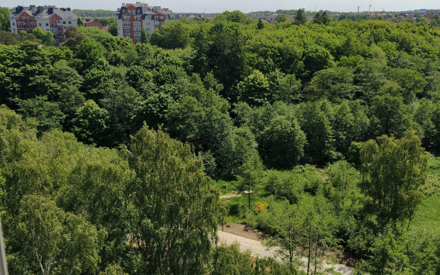 Квартира на первой линии Балтийского моря