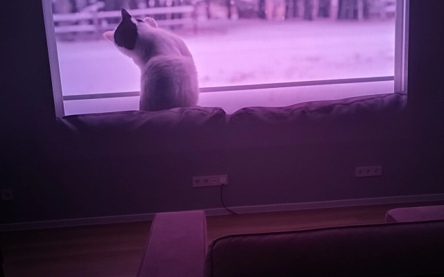 Квартира 3-комнатная с Видом на Бульвар (Свежий Ремонт)