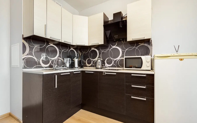 Квартира в Песочном у Онкоцентра