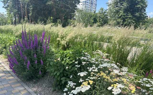 Квартира Мамаев Курган