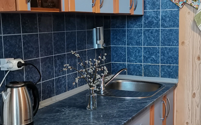 Квартира со Скрипкой