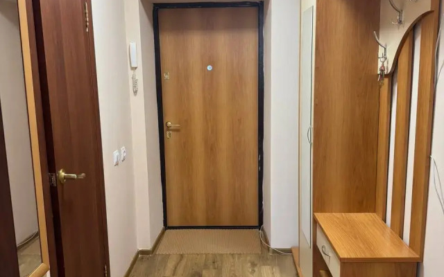 Vam Rady Na Voronkova Apartments