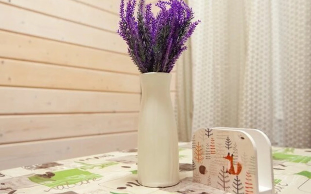 Частный дом 2 бухта Сорола