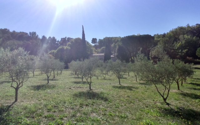 Mas De Cocagne En Provence Guest House