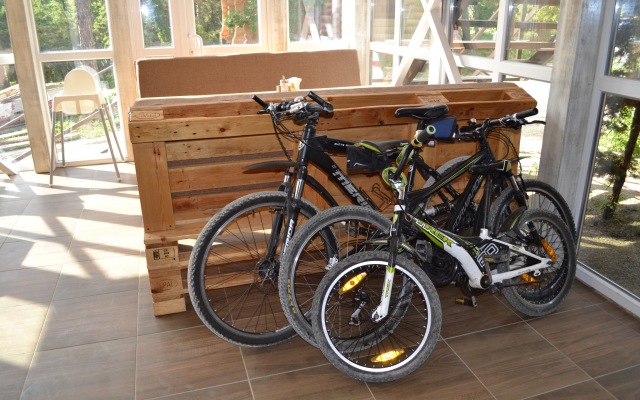 Lodge Altai Recreation center
