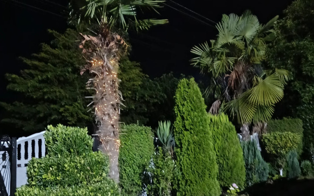 Ameli Guest House